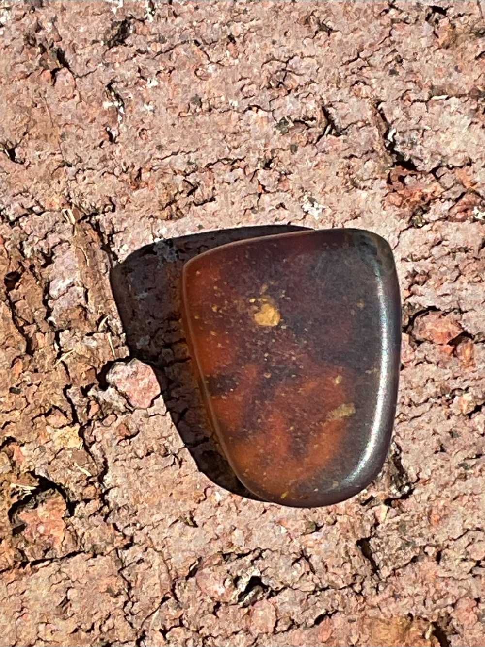 Amber Loose Gem